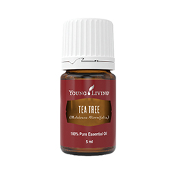 Tea Tree 5 ml